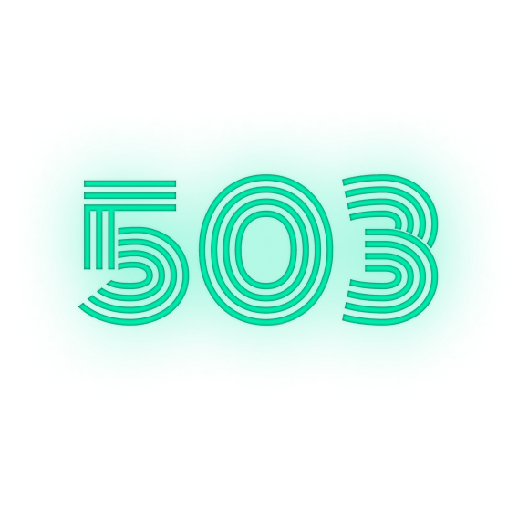 503 icon